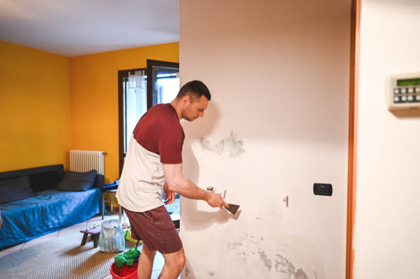 Best Commercial Mold Remediation in Cape Neddick, ME